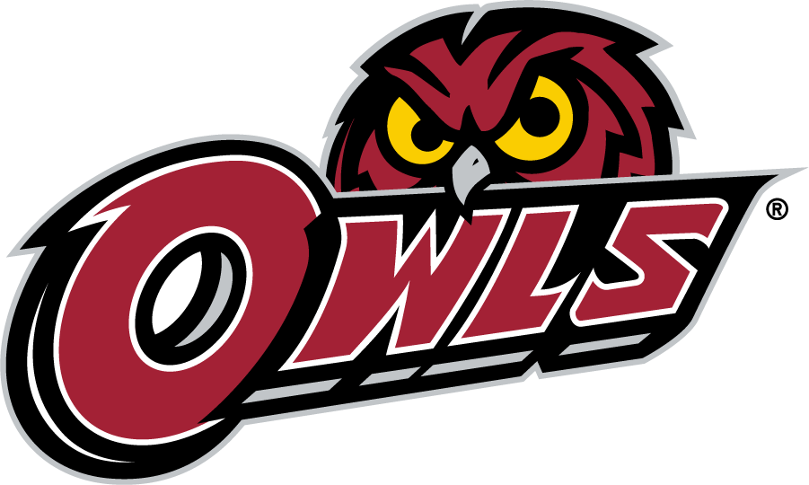 Temple Owls 2014-2020 Secondary Logo v2 diy iron on heat transfer